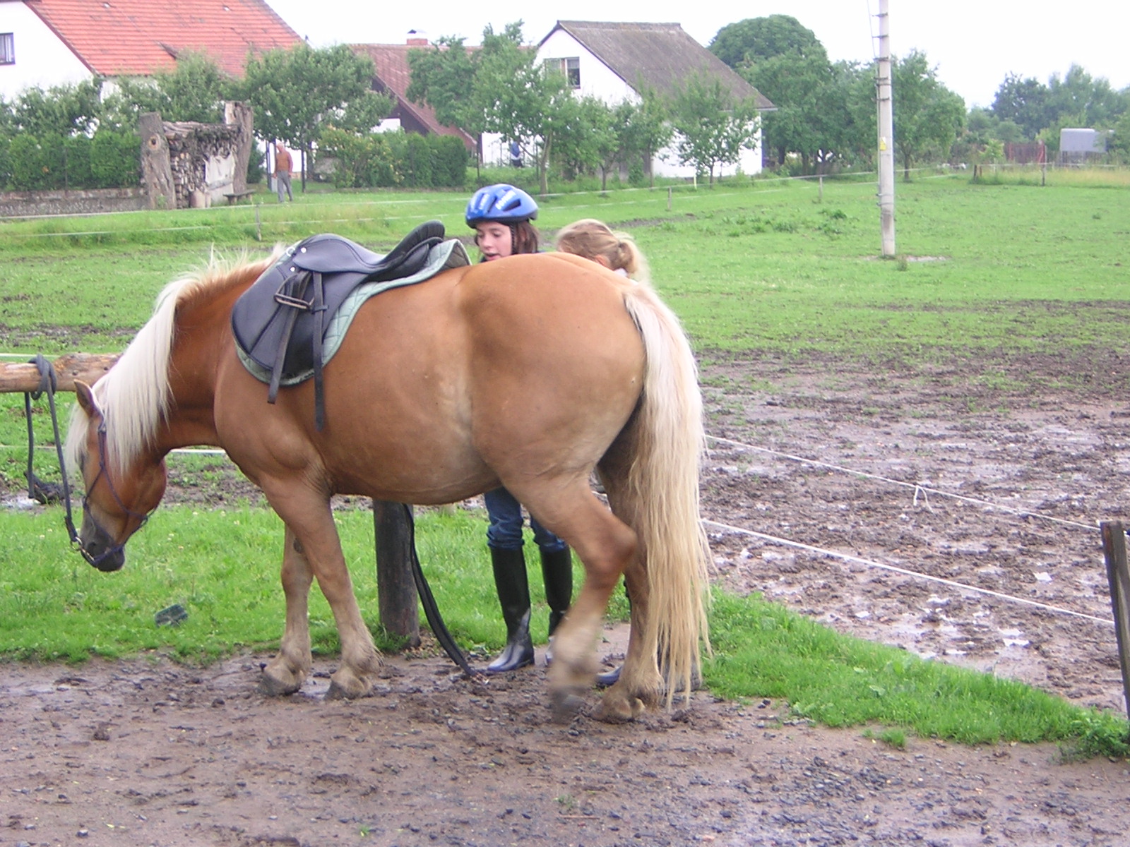 Dscn5461.jpg
