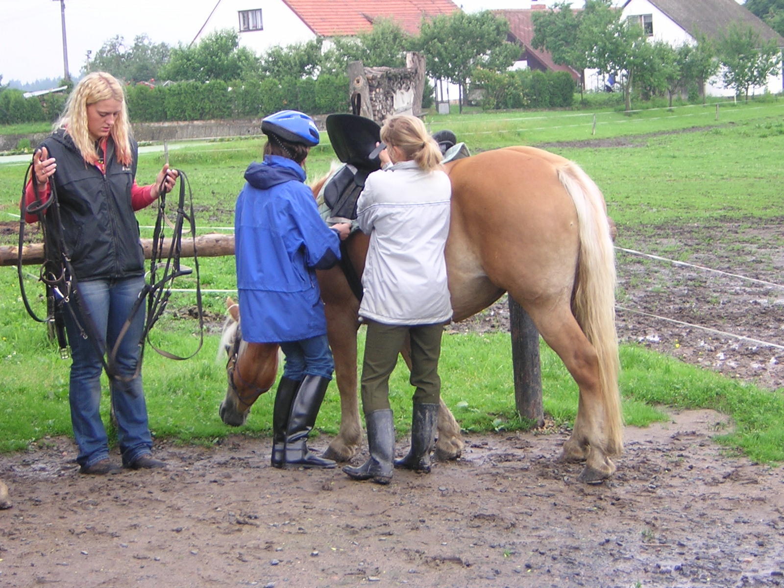 Dscn5462.jpg