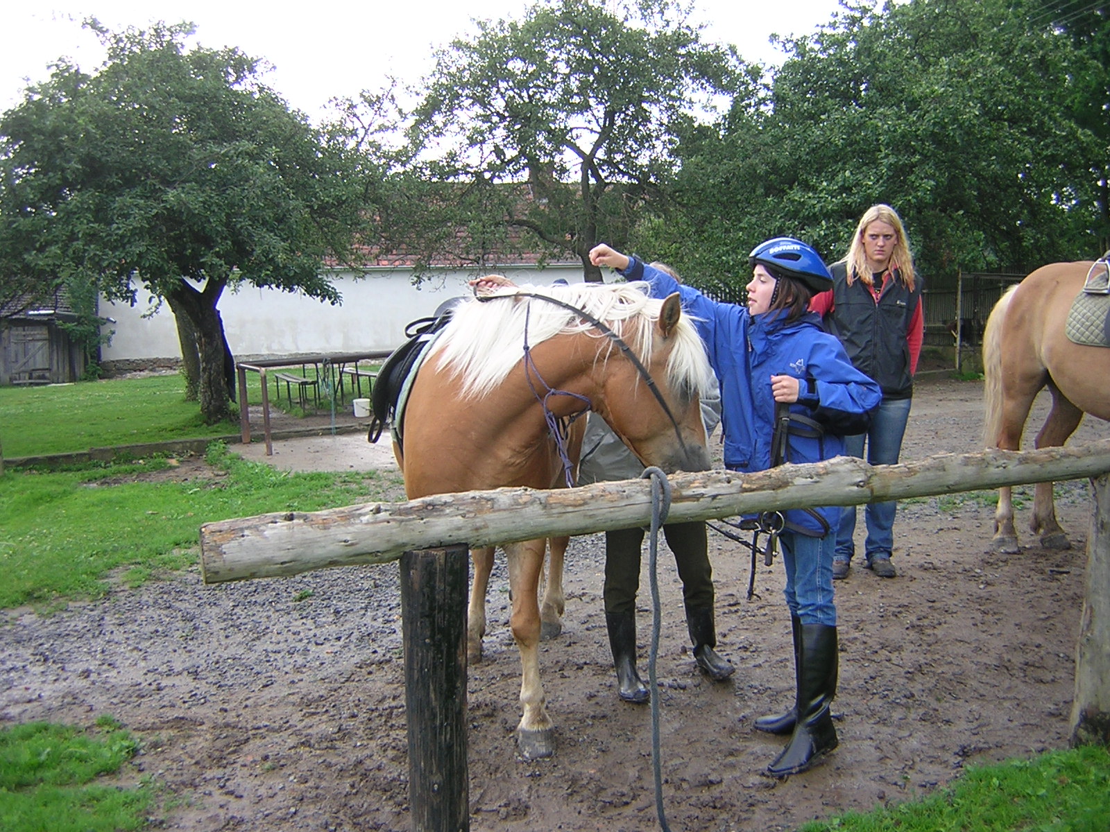 Dscn5466.jpg