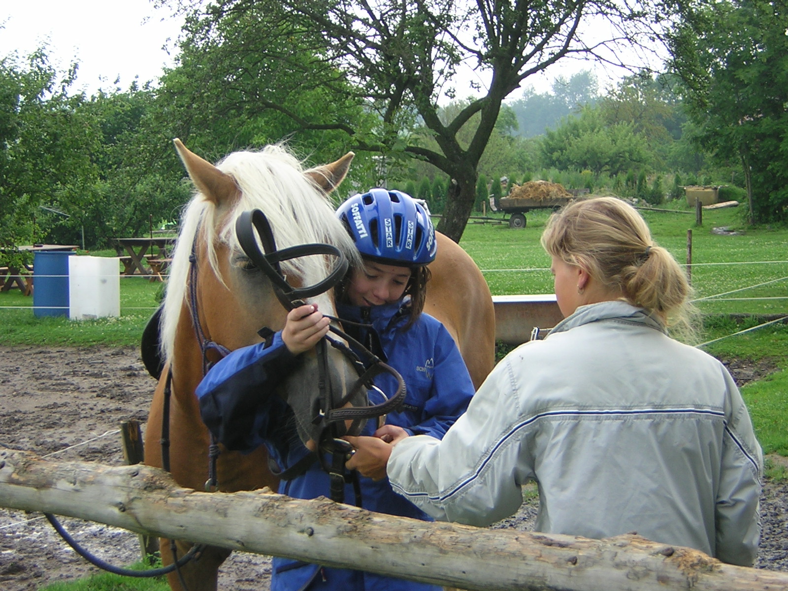 Dscn5470.jpg