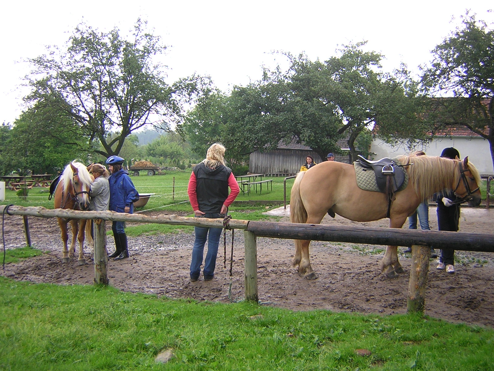 Dscn5474.jpg