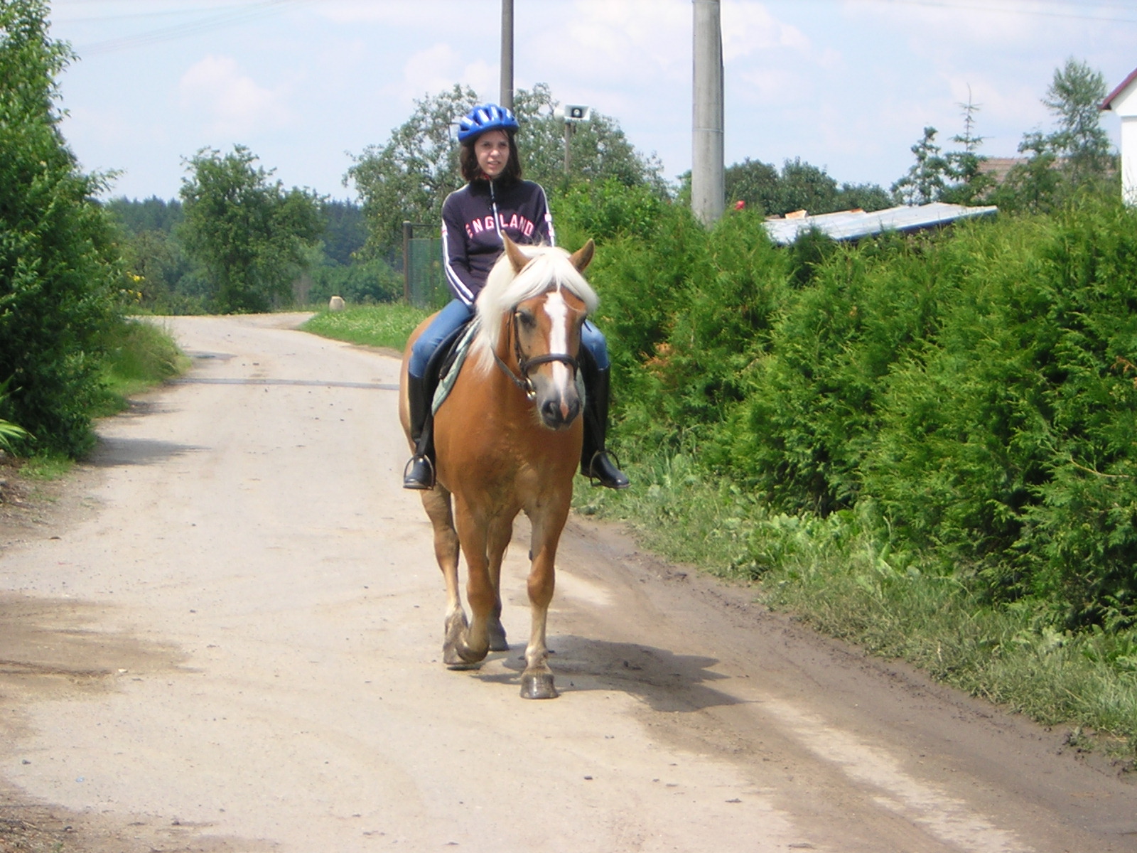 Dscn5555.jpg